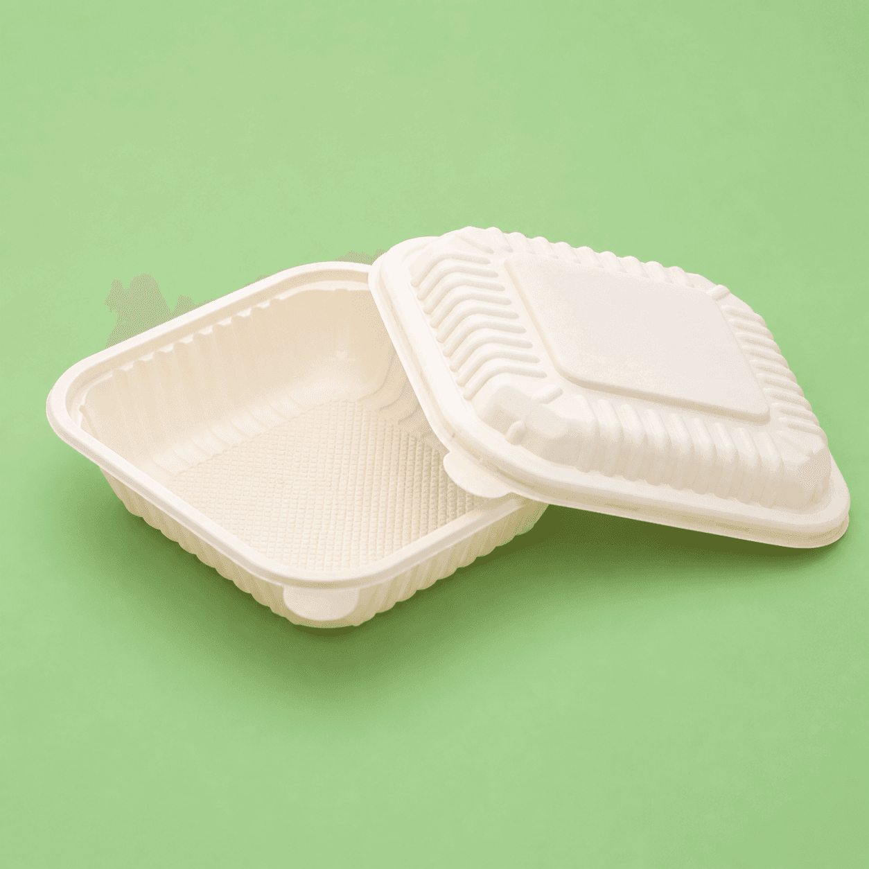 Box Polos